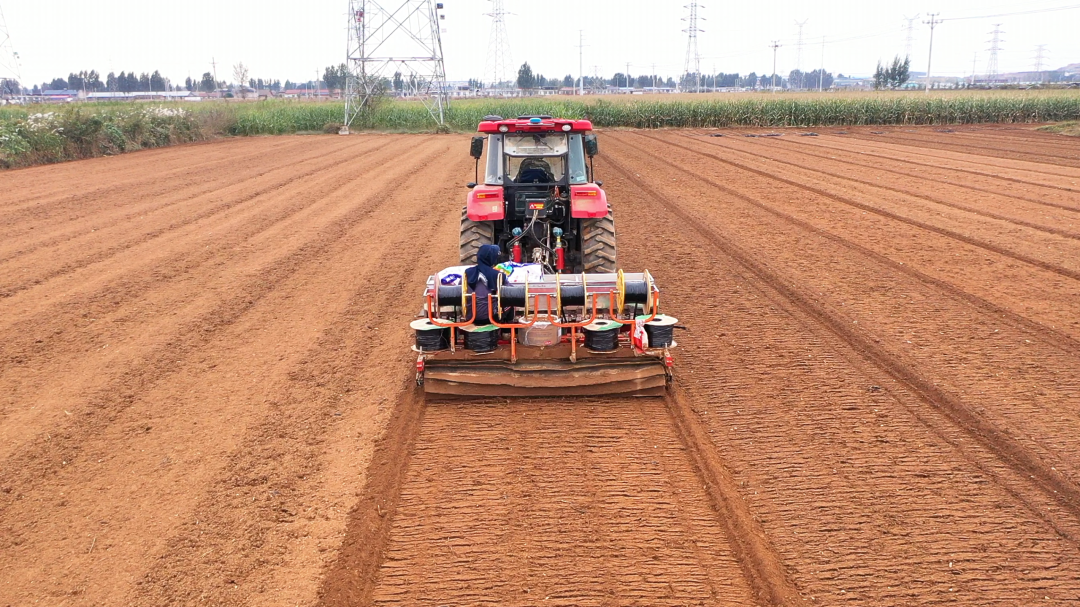 遷安：冬小麥播種忙 播下明年豐收新希望